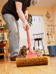 Hardwood Floor Care